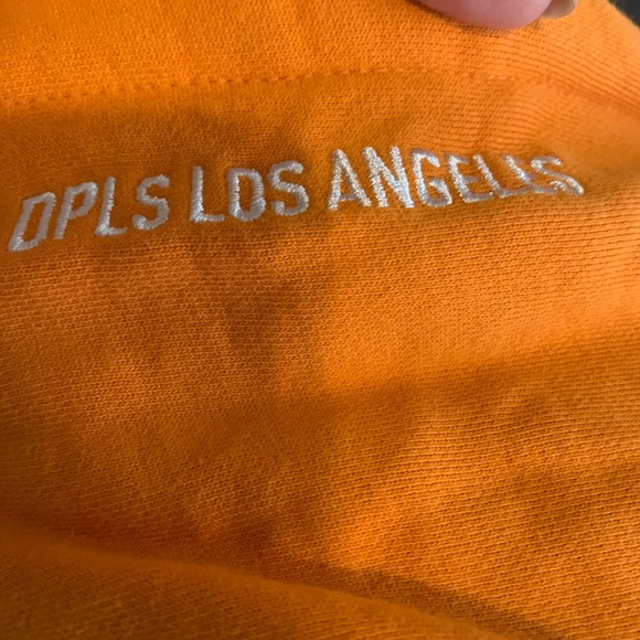 DPLS hoodie. Men’s M $15 - Picture 3 of 5